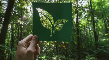 Go Green and Live Clean in 2023