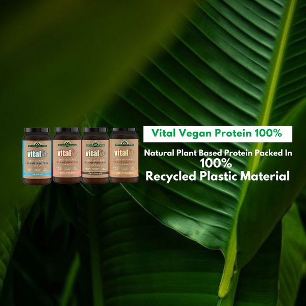 Vital Plant Protein