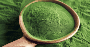 Chlorella Banner