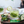 Load image into Gallery viewer, Ener C Variety pack lifestyple