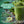 Load image into Gallery viewer, Green Nutritionals Hawaiian Pacifica Spirulina Green Nutritionals