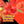 Load image into Gallery viewer, Green Nutritionals Green Vitamin C Green Nutritionals