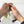 Load image into Gallery viewer, rose otto lavender hand cream 125ml