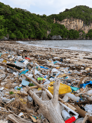 Plastic Pollution