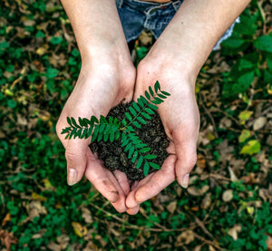 Value Responsiblity Commitment To Sustainability