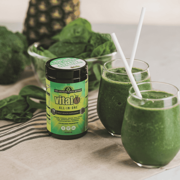 shop vital all in one