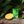 Load image into Gallery viewer, Ener C 1000mg Vitamin C Lemon