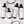 Load image into Gallery viewer, Coconut OF products showcase
