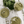 Load image into Gallery viewer, Veggie Bowls