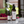 Load image into Gallery viewer, OF Rose Geranium Item