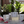 Load image into Gallery viewer, OF soaps