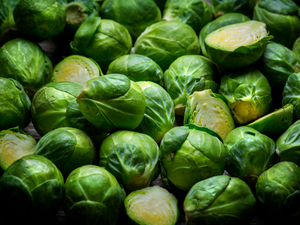 Plant-Powered Testosterone Boost