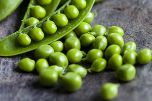 3 Health Boosting Reasons To Include Pea Protein Isolate Into Your Dietary Plan Today