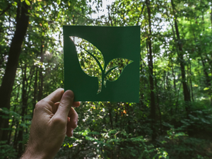Go Green and Live Clean in 2023