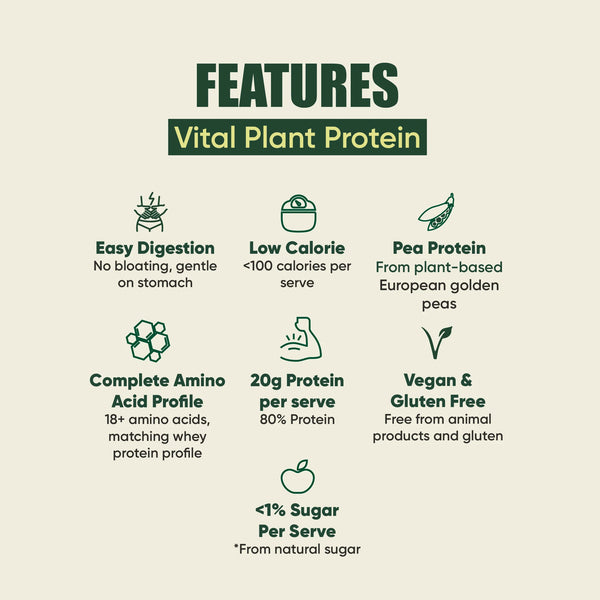 Vital Plant Protein Chocolate