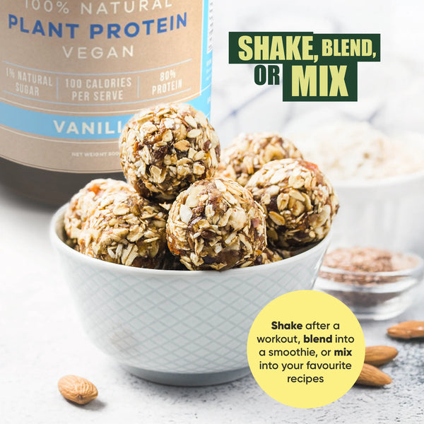 Vital Plant Protein Chocolate