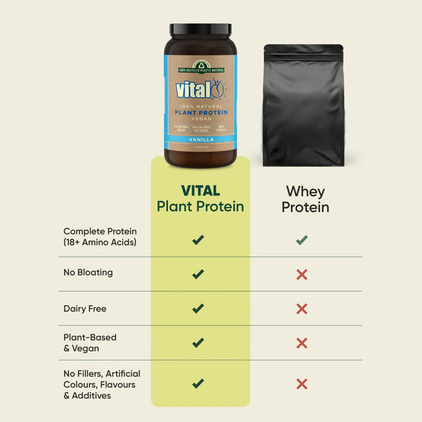 Vital Plant Protein Chocolate