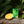 Load image into Gallery viewer, Ener C 1000mg Vitamin C Lemon
