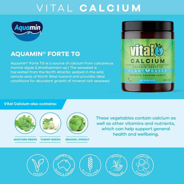 Vital Calcium Plant Based 60 Vegecaps Ingredients