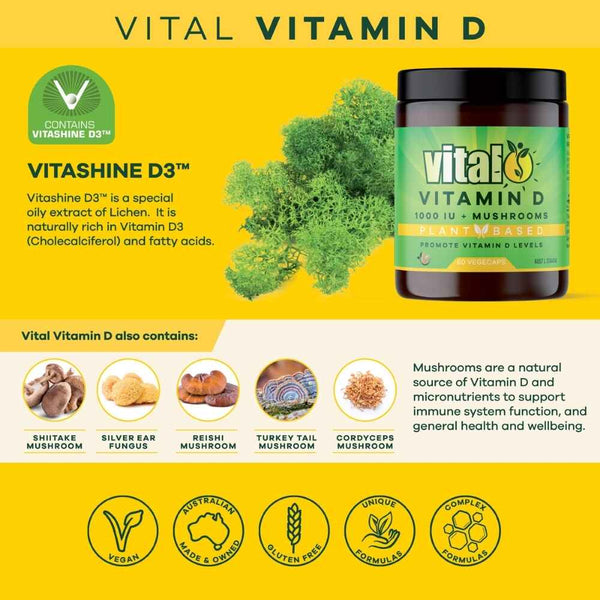 Vital Vitamin D 1000 IU Mushrooms Plant Based 60 Vegecaps Ingredients