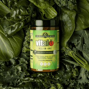 plant based supplement